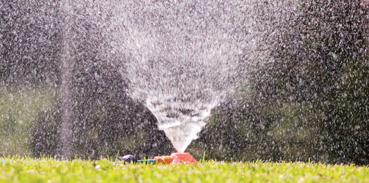 New Year’s Resolution for a Better Lawn