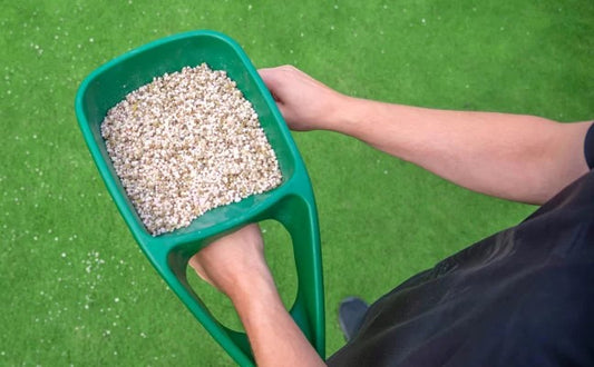 Is Autumn the time to fertilise my lawn?