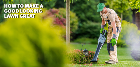 How to Make a Good Looking Lawn Great