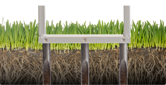 Why it’s Important to Aerate Your lawn