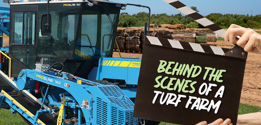 Behind the Scenes on a Turf Farm