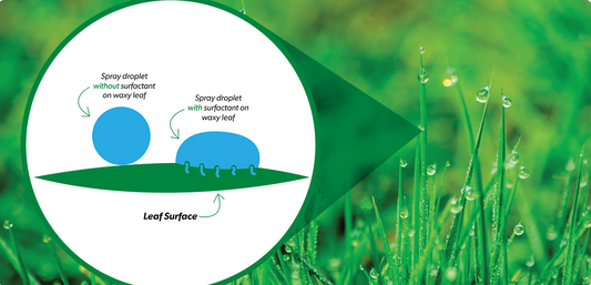 Surfactants - How to Help Herbicides Adhere