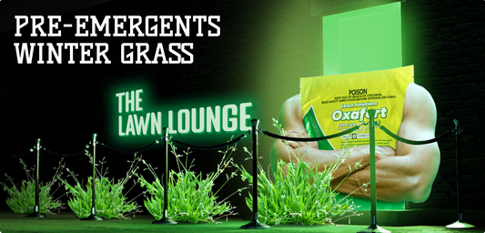Pre-Emergents | Winter Grass