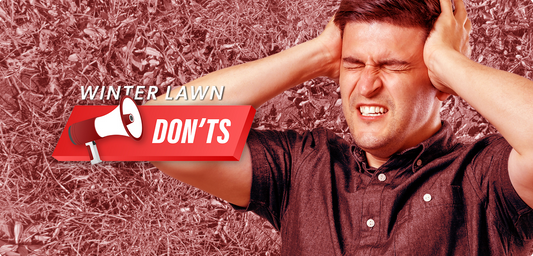 What You Shouldn’t Be Doing to Your Lawn This Winter