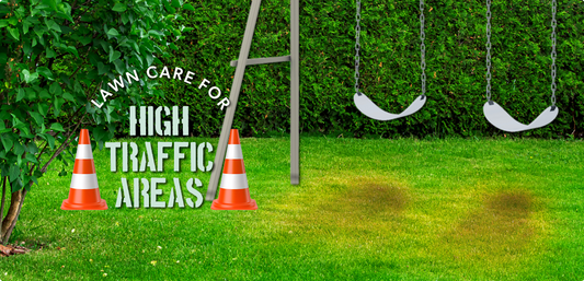 Lawn Care for High Traffic Areas