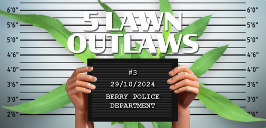 5 Lawn Outlaws This Spring