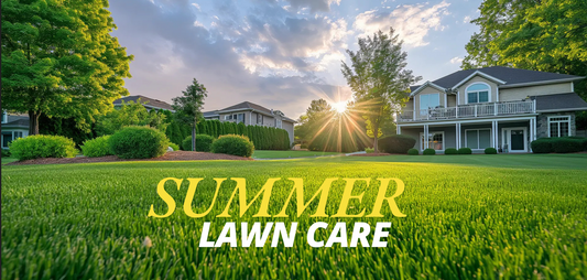 Summer Lawn Care