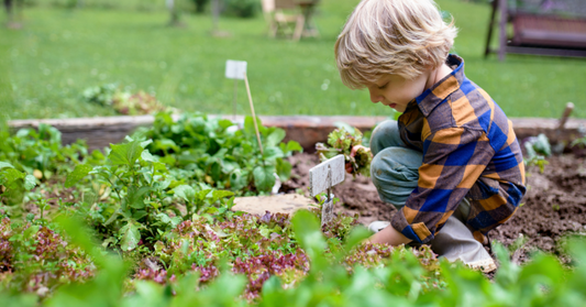 Getting Kids into The Garden