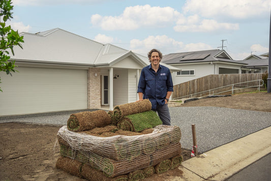 Laying A New Lawn in Summer