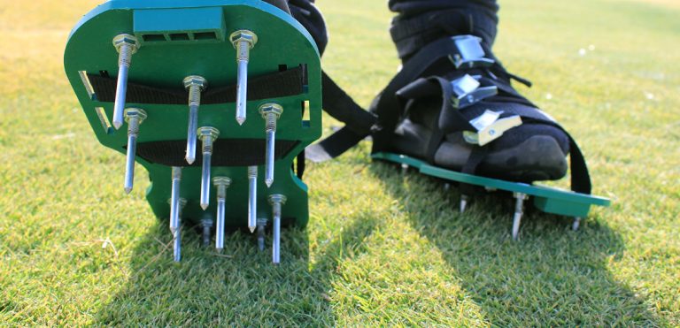 Should I core aerate my lawn? Or are solid tines ok?