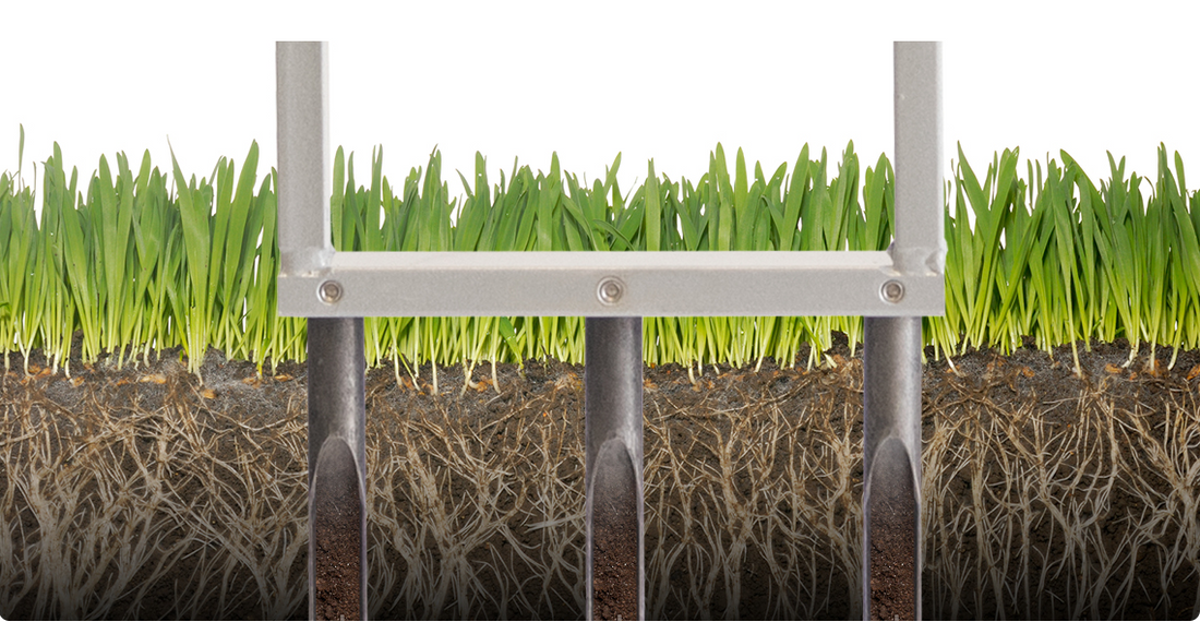 Why it’s Important to Aerate Your lawn