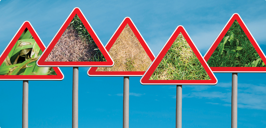 5 Warning signs of your grass’s demise