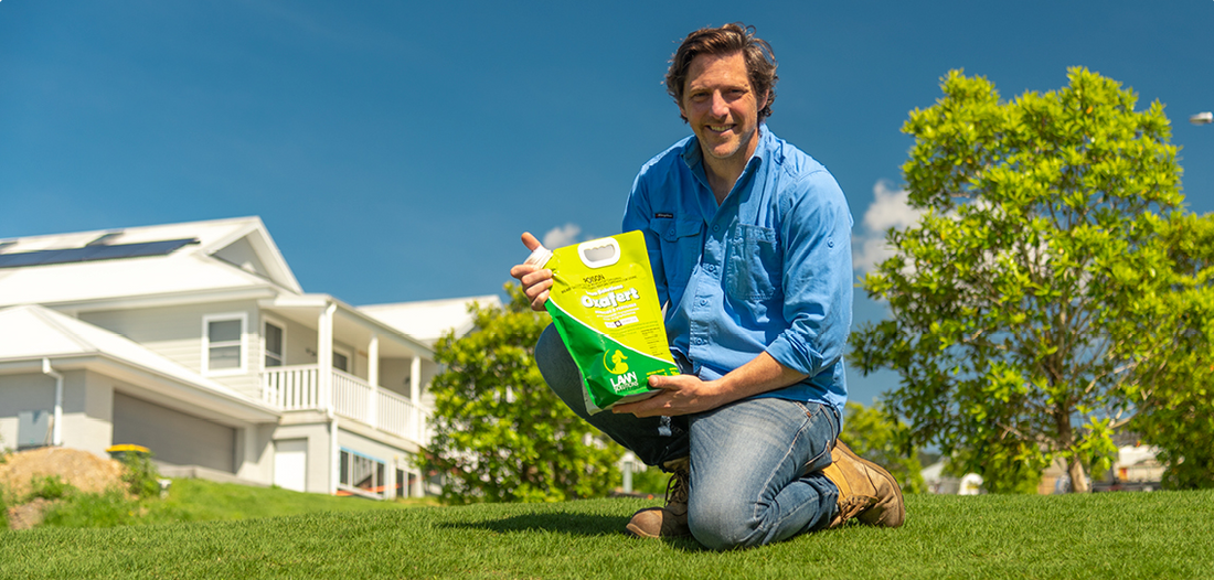 How To Prevent Winter Grass Now