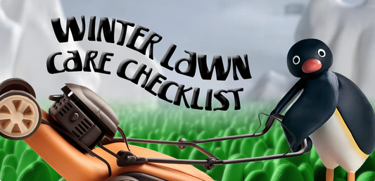 Winter Lawn Care Checklist