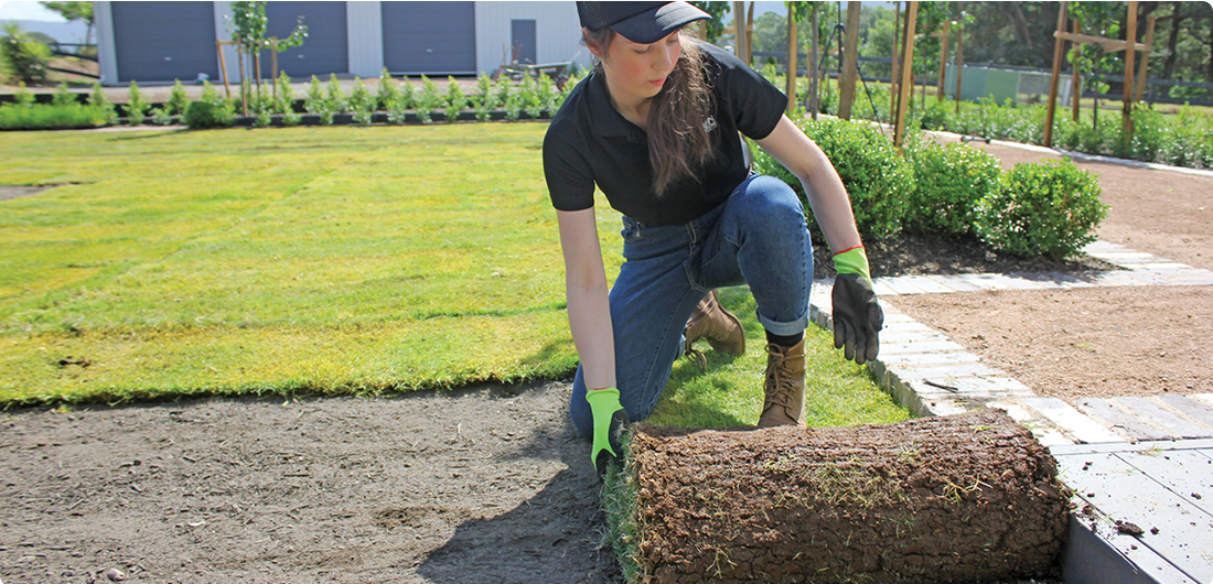 Why Lay a New Lawn in Spring