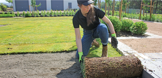 Why Lay a New Lawn in Spring