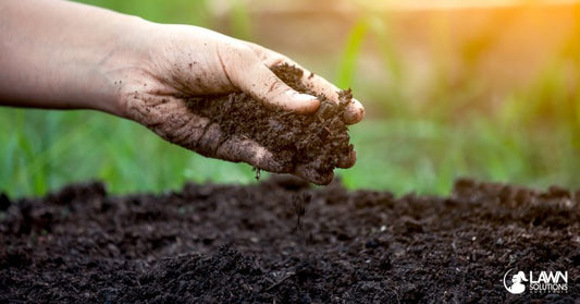 How To Lay Turf Part 2: Preparation