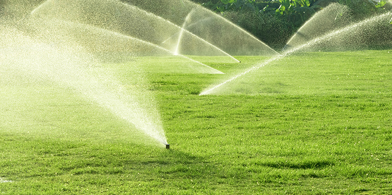 How To Lay Turf Part 4: Aftercare