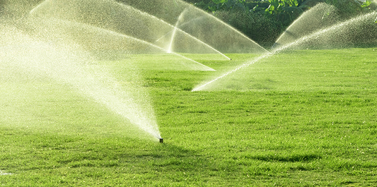 How To Lay Turf Part 4: Aftercare